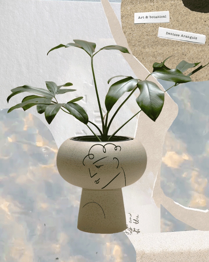 La misión de la Colección curada es siempre sorprenderte y deleitarte con hallazgos inesperados y distintivos para tus espacios. 