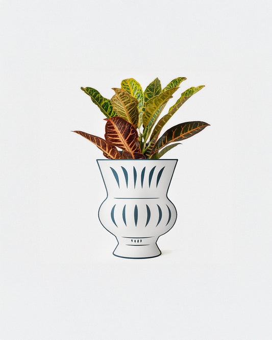 Copón 'Greek Coastal'. Limited Edition.